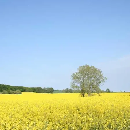 4, Schloss-park-residenz, Lindenalle 23, 18230 Ostseebad Ot Blengow * Rerik