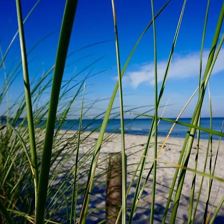 4, Schloss-park-residenz, Lindenalle 23, 18230 Ostseebad Ot Blengow Rerik